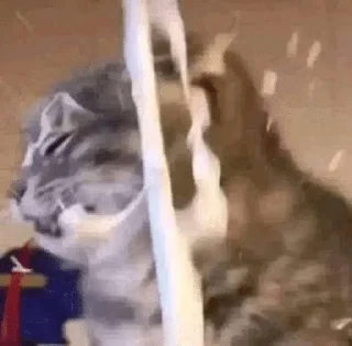 Video sticker 😞 richbitch @mojameji