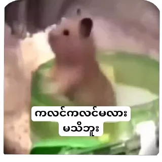 Video sticker 💗 ဖာသည်မညီမင်းထက်မခိုးရ