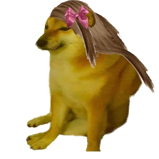 Sticker 👩 Doge