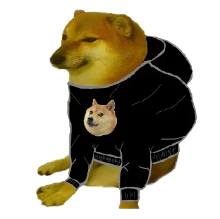 Video sticker 😬 Doge