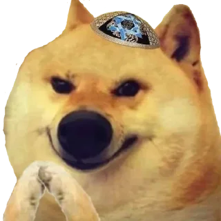 Telegram sticker ✡️ Doge