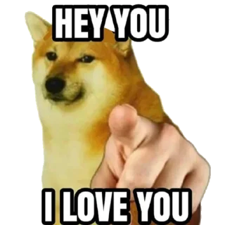 Telegram sticker 😳 Doge