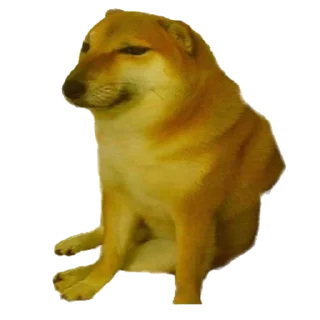 Telegram sticker 😂 Doge