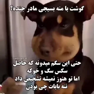 Телеграм стикер 😀 - By - @Darkdate -