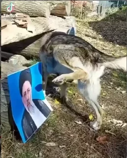 Телеграм стикер 😀 - By - @Darkdate -