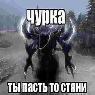 Video sticker 🌟 Больше стиков тут: @stikery4