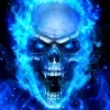Video sticker 💀 blue skull - @tgem...