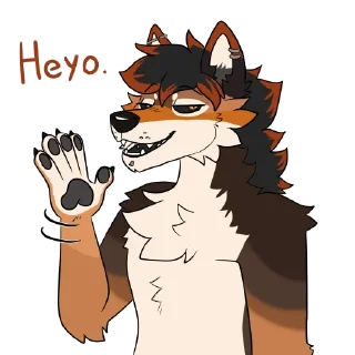 Video sticker 😏 Sen