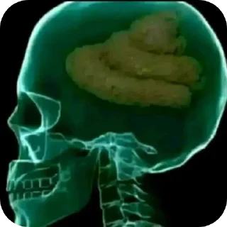 Video sticker 🧠 Gubashlep