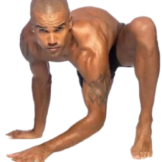 Video sticker 👣 Gubashlep