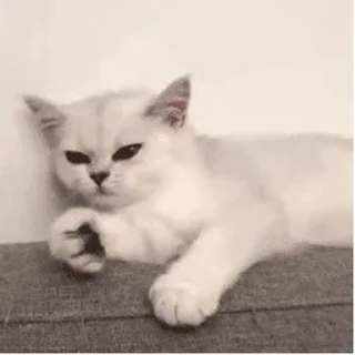 Telegram sticker 😪 yos动态表情包