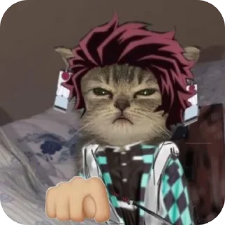 Telegram sticker 🐱 Kamado uchn maxsus