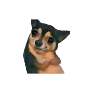 Video sticker 🫥 stickers from tiktok by jayden