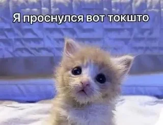 Video sticker ⭐️ Больше стиков тут: @stikery4
