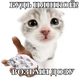Telegram sticker ⭐️ Больше стиков тут: @stikery4