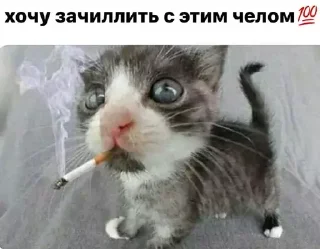 Video sticker 💯 xiiwel '2 @brokendayagain