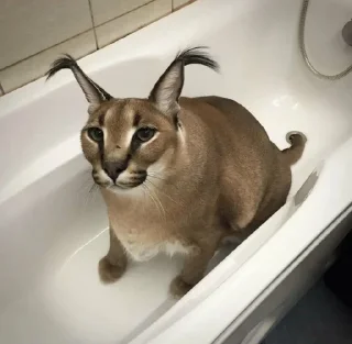 Sticker 🙂 Шлёпа :: @fStikBot