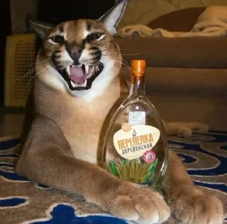 Телеграм стикер 😠 Шлёпа :: @fStikBot