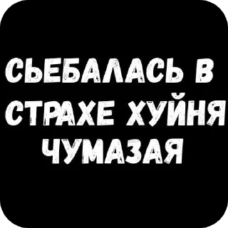 Video sticker 🖼 @stickeri_tg <-- стикеры тут