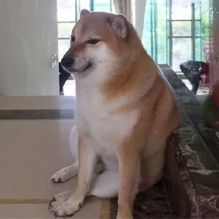 Video sticker 👀 Michael