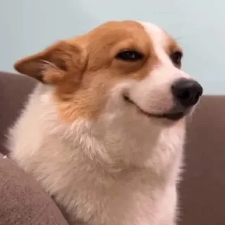 Video sticker 🔥 Michael