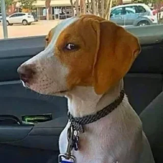 Video sticker 👀 Michael