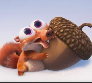 Telegram sticker 🌟 Белки и орех 🌰