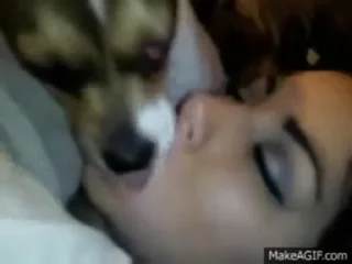 Video sticker 😜 Stiko(animado) @StickersFoRyu