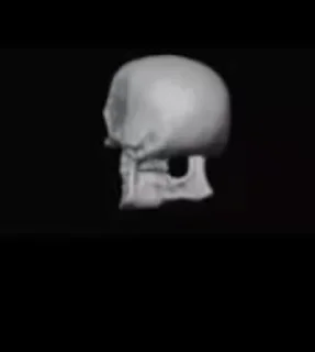 Video sticker 💀 Stiko(animado) @StickersFoRyu