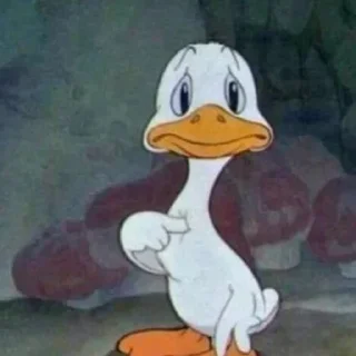 Video sticker 💗 @HANI_911k