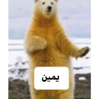 Telegram sticker 🎀 @xtb_4