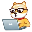 Video sticker 👨‍💻 tokhirov emoji: