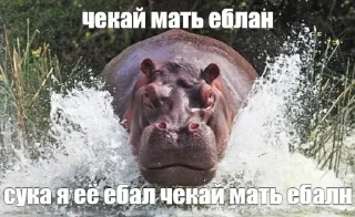 Telegram sticker 🤬 Больше стиков тут: @stikery4