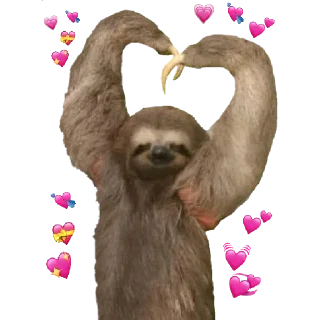 Video sticker 🦥 Gatinhos do Zap