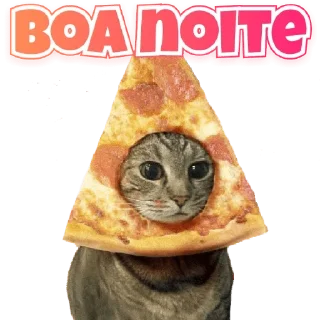 Video sticker 🍕 Gatinhos do Zap