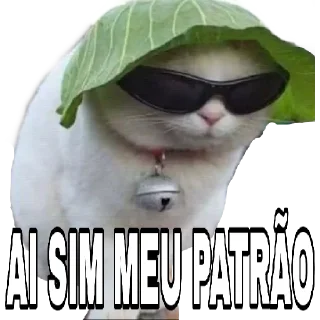 Telegram stiker 😎 Gatinhos do Zap