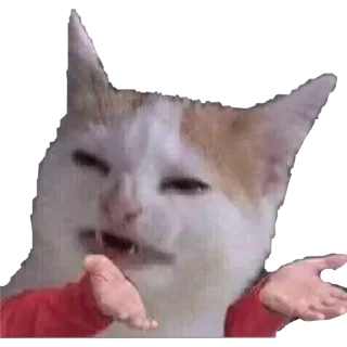 Telegram stiker 😧 Gatinhos do Zap