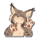 Video sticker 👌 Lynx