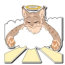 Video sticker 🙏 Lynx