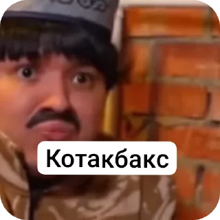Video sticker ✋ Батёк