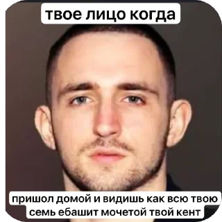 Telegram sticker 🫥 ЛИТВИН @MoiStikiBot