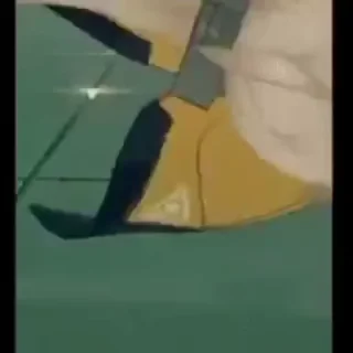 Video sticker 🌟 Gomofobia :: @fStikBot