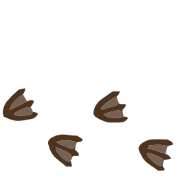Sticker 🪿 (@ShoutoEmoji) HD Duck 🪿