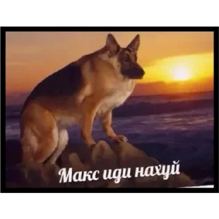 Sticker 🖕 CarsHuyars