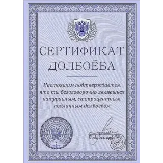 Video sticker 🆘 CarsHuyars