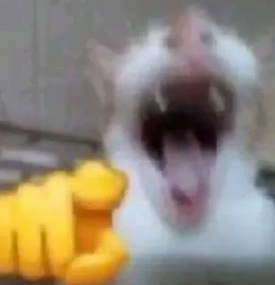 Video sticker 😂 စဒစ်ကာ သူခိုး @itz_KhantFeiyu