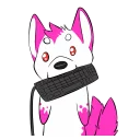 Video sticker ⌨ Kors Kei