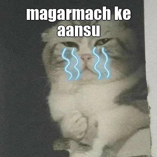 Telegram sticker 🙂 @stickerlets @MBT_SASUKE  :: @fStikBot