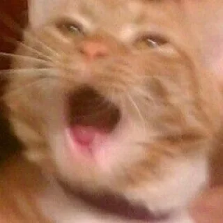 Video sticker 😮 Retarded people's stickers