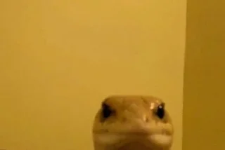 Telegram sticker 😐 Retarded people's stickers